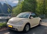 Volkswagen Beetle Cabriolet - Volkswagen Beetle: Beige