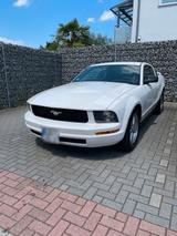 Ford Mustang S197 V6 - Ford Mustang aus 2007: V6