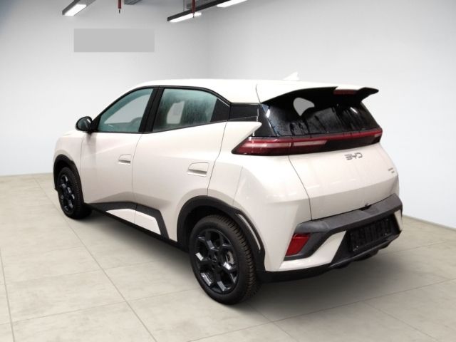 BYD DOLPHIN SURF