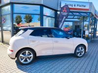 GWM Ora 03 - Vorschau Bild 8