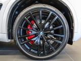BMW X5 xDrive30d MSport + Pano + PAprof. + AHK + 22" - BMW X5: 30d