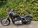 Harley-Davidson Super Glide Custom - Angebote entsprechen deinen Suchkriterien