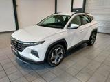 Hyundai Tucson 1.6 T-GDI  Basis Plug-In Hybrid 4WD - Wasserstoff: Geländewagen