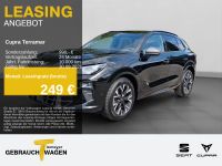Cupra Terramar - Vorschau Bild 1