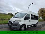 Citroën Jumper Kombi 33 L2H2 Shine e-HDi 130*9Sitzer* - Citroën Jumper: Kombi