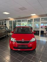 Skoda Citigo Ambition - Skoda Citigo in Düsseldorf