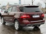 Mercedes-Benz ML 250 CDI BlueTec LEDER NAVI XENON AHK - Mercedes-Benz ML 250 mit Diesel-Antrieb: Automatik