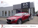 Mazda CX-30 Exclusive-Line X 186 Automatik|Matrix-LED| - Mazda CX-30: Exclusive Line