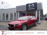 Mazda CX-30 Exclusive-Line X 186 Automatik|Matrix-LED| - Mazda CX-30: Exclusive Line