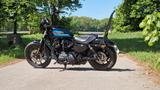 Harley-Davidson IRON 1200 - XL1200NS - TÜV NEU - Offers matching your search criteria