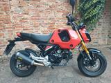 Honda MSX 125 Grom mit viel Zubehör