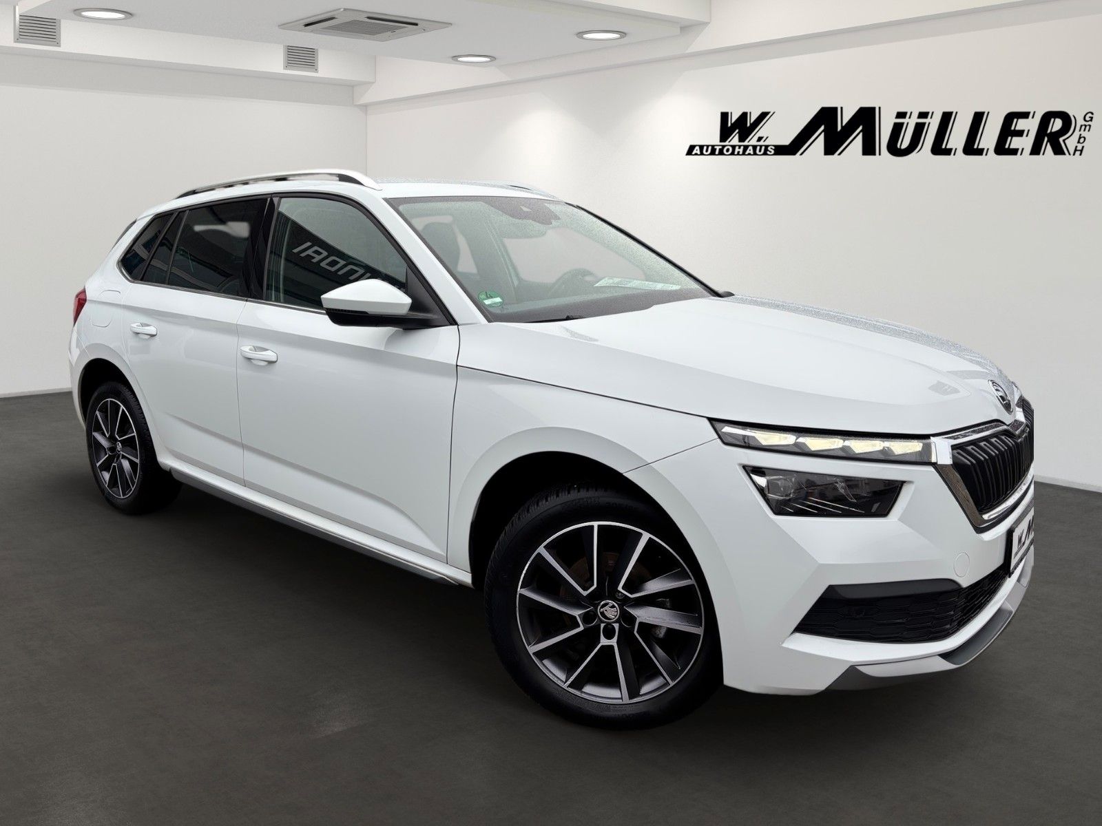 Fahrzeugabbildung SKODA Kamiq Style