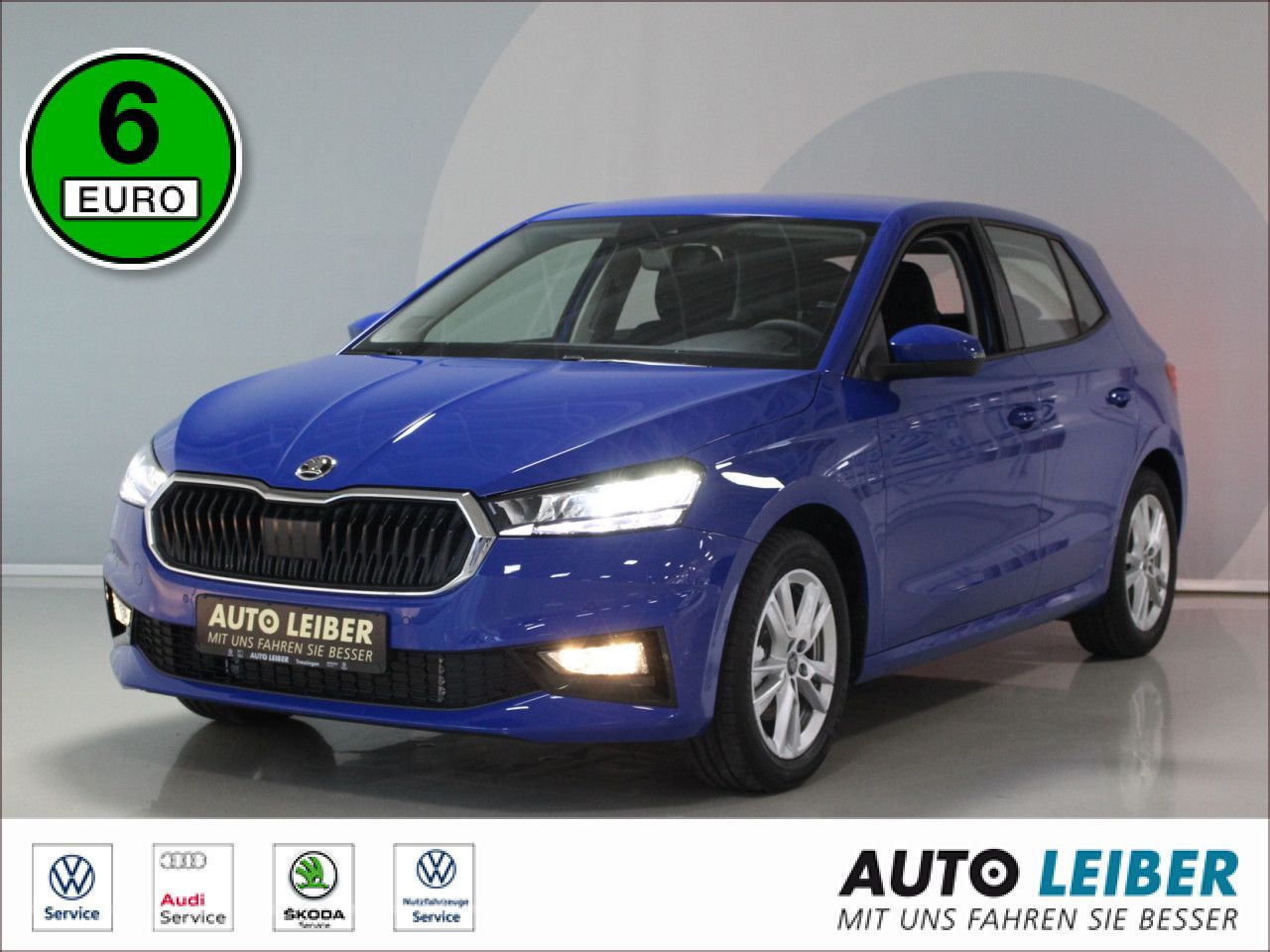 Fahrzeugabbildung SKODA Fabia 1.0 TSI Selection RFK/SHZ/APP/Keyless