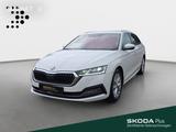 Skoda Octavia 2.0 TDI Selection DSG Navi*AHK*Pano*Matr - Skoda Octavia Selection mit Diesel-Antrieb