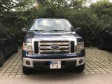 Ford F150 5.0 V8 - Ford F 150: For