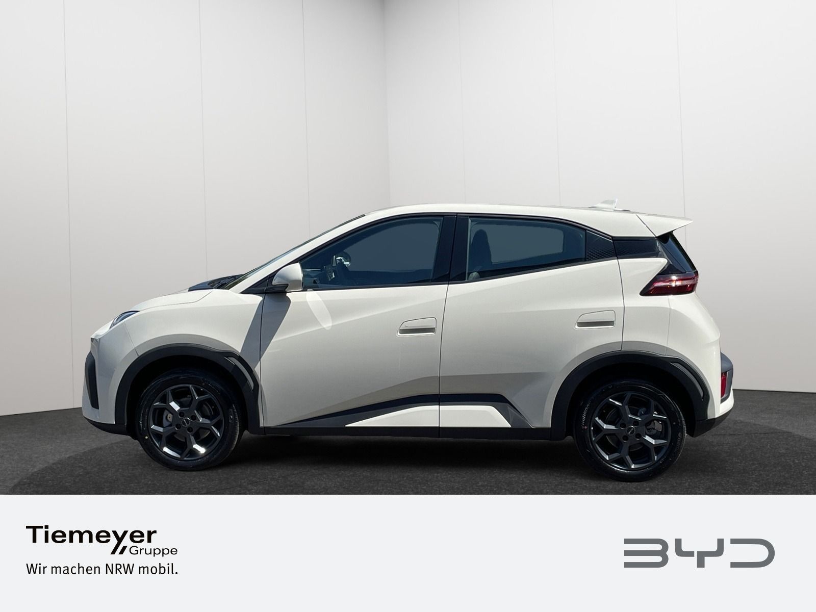 BYD DOLPHIN SURF