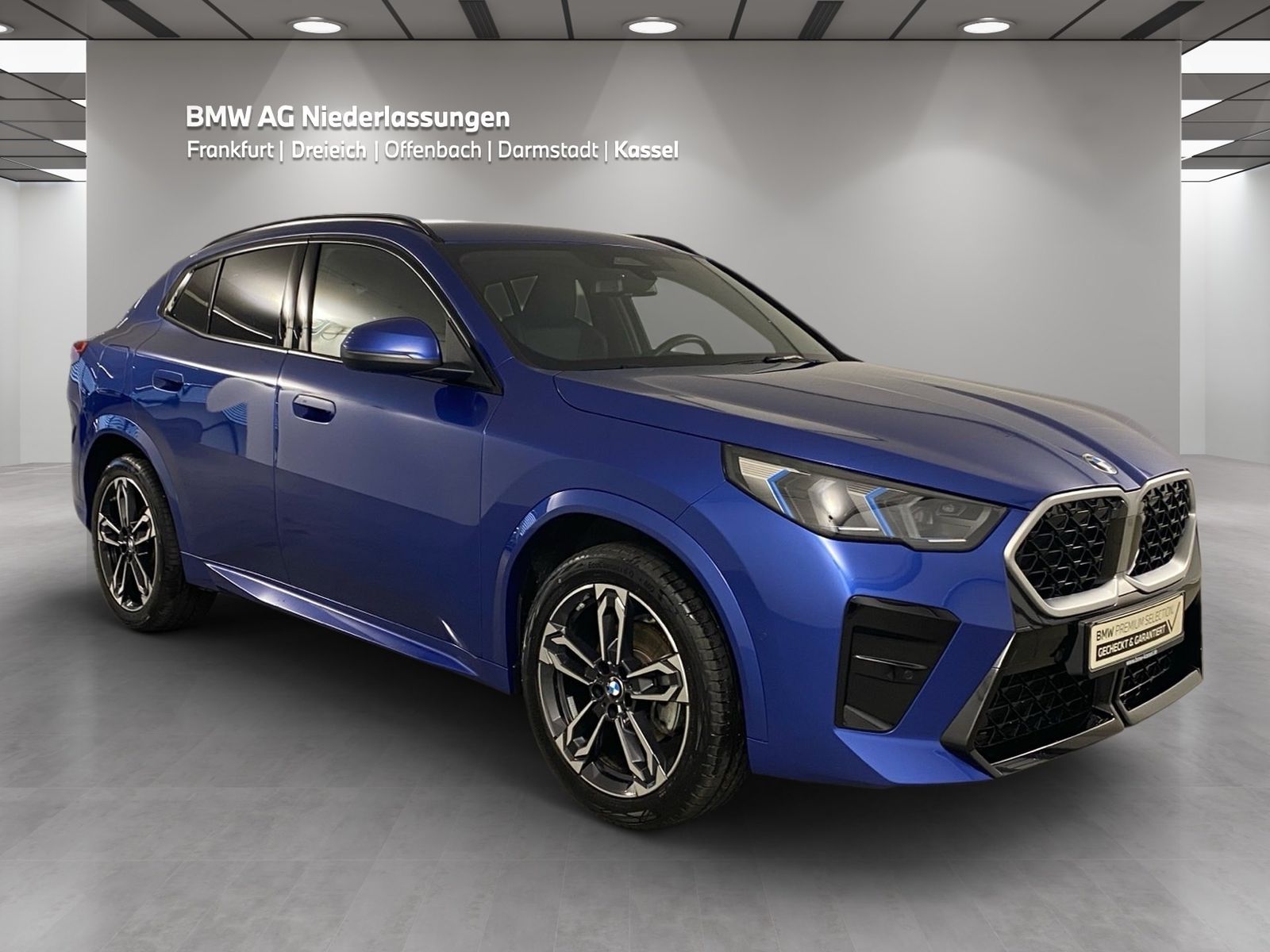 BMW X2 sDrive20d M Sport AHK Kamera Driv.Assist LED foto 3