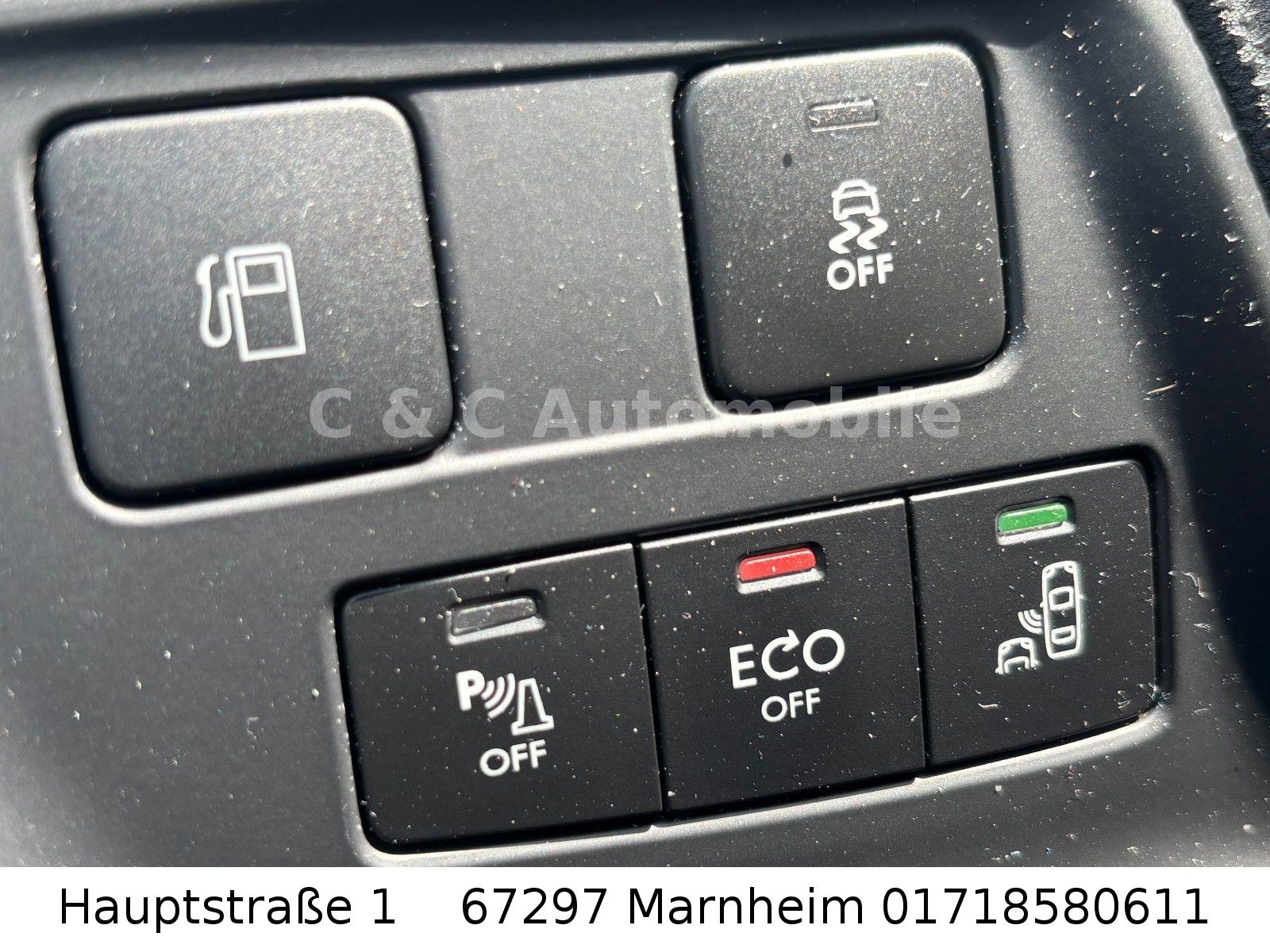 DS Automobiles DS 4 Crossback/AHK/Kamera/Allwetter
