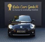 Volkswagen Beetle R-LINE/AUTOMATIK/ - Volkswagen Beetle: Limousine