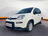 Fiat Panda MY23 Panda Hybrid *KLIMA*START-STOP* - Fiat Panda in Leipzig