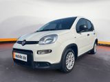 Fiat Panda MY23 Panda Hybrid *KLIMA*START-STOP* - Fiat Panda in Osnabrück