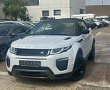 Land Rover Evoque Cabriolet SE /Kamera/Leder/Bi Xen/Autom/ - Land Rover Range Rover Evoque in Köln