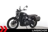 Triumph STREET SCRAMBLER 900 - Lieferung bundesweit! - TRIUMPH SCRAMBLER