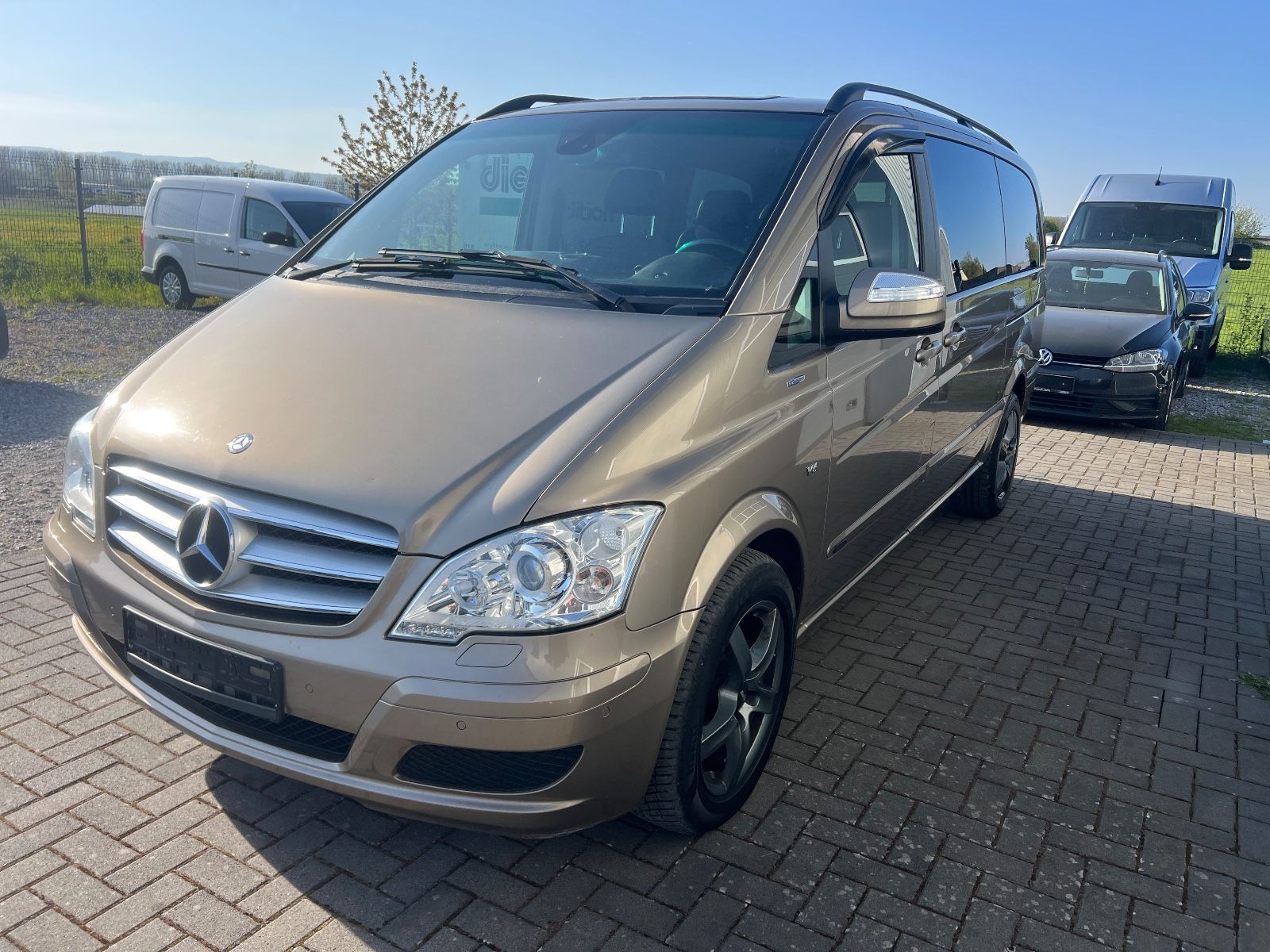 Mercedes Viano - 1