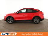 Audi Q5 Sportback 50 TDI Mild-Hybrid quattro S line  - Audi Q5: Vollleder, Sitzbelüftung