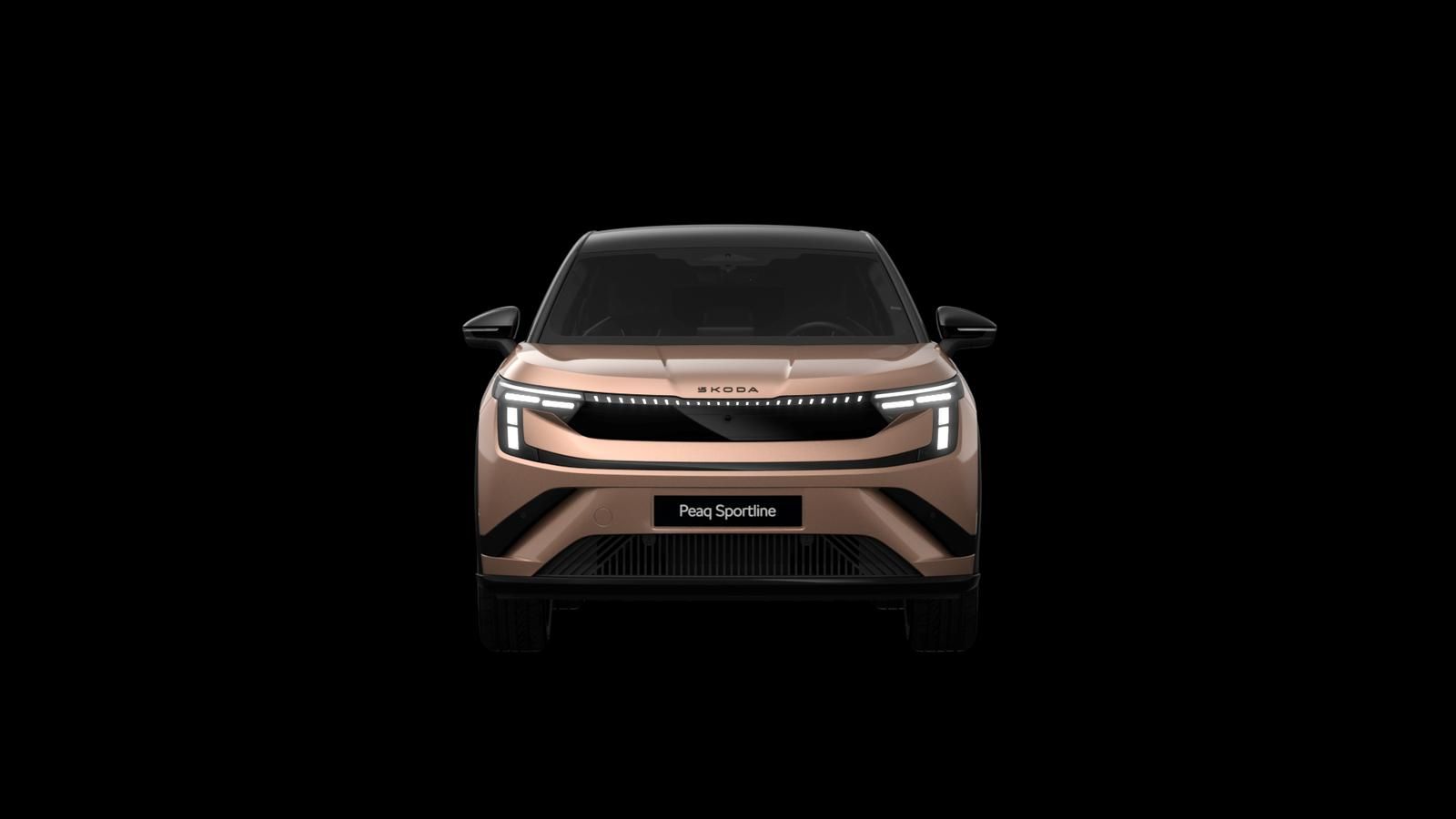 Skoda Andere - Bild 6