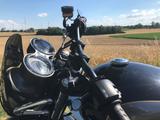 Triumph Street Cup  - TRIUMPH STREET CUP