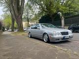 Mercedes-Benz E270 CDI Avantgarde AMG Styl... - Mercedes-Benz E 270: Cdi Avantgarde
