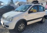 Fiat Panda 1.2 4x4 benzina e gpl adatta neopaten - Fiat Panda mit Halbautomatikschaltung
