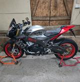 Aprilia Tuono V4 1100 - APRILIA TUONO 1100