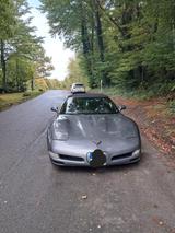 Corvette C5 5.7 Cabrio 50th Anniversary Autom.  - Corvette C5 Gebrauchtwagen