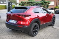 Mazda CX-30 - Vorschau Bild 3
