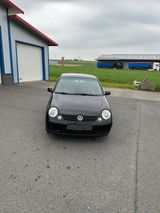 Volkswagen VW Lupo 1.4 MPI - Volkswagen Lupo aus 2002