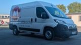 Fiat Ducato Kühlfahrzeug Frigo Vans