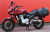 Suzuki GSF 1250 SA Bandit ABS 1. Vorb. Koffer Top! - SUZUKI GSF