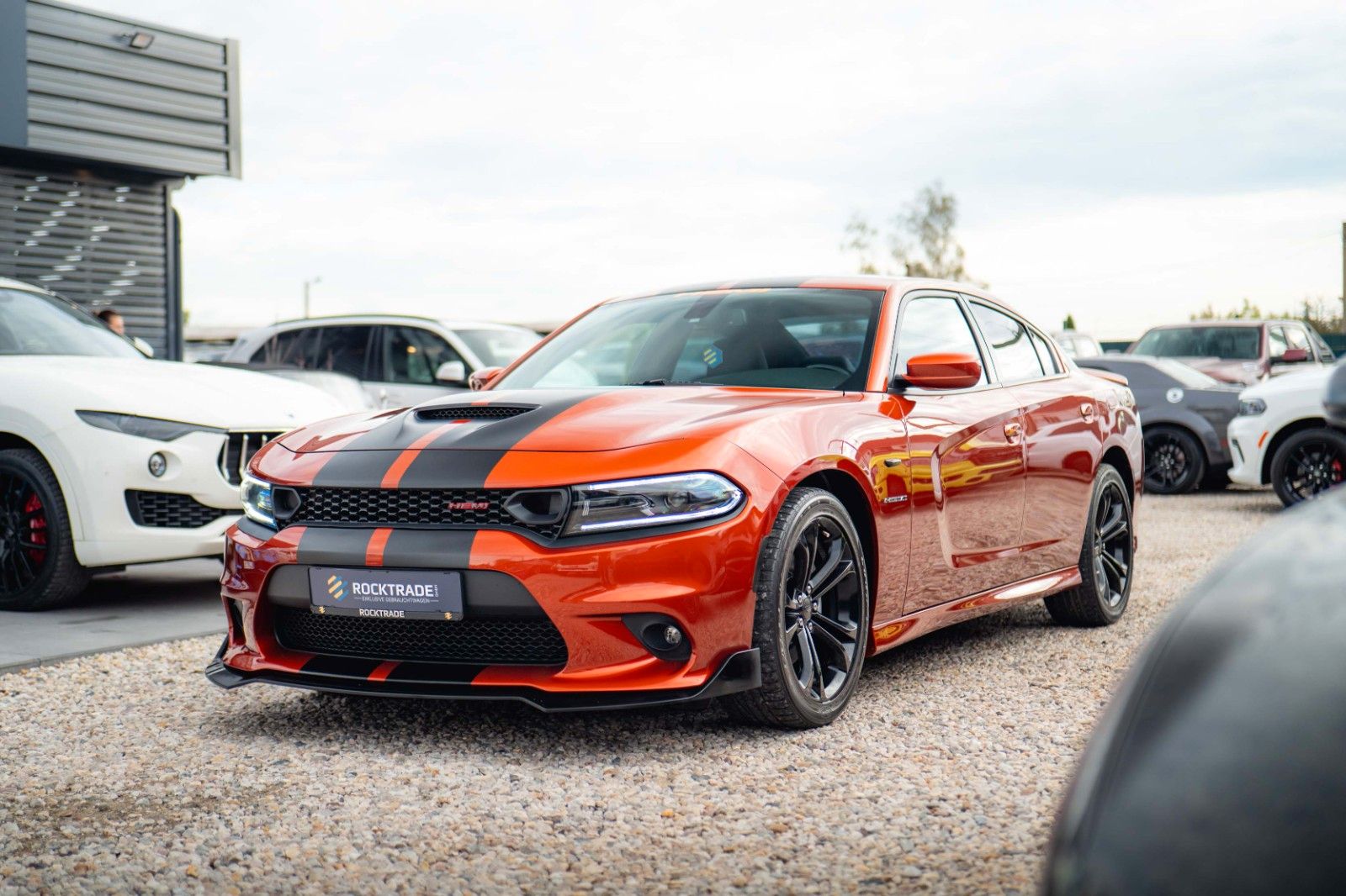 Fahrzeugabbildung Dodge Charger 5.7 V8 HEMI R/T Night-Paket Performance