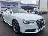 Audi S5 Cabriolet 3.0 TFSI quattro Top Autom Navi - Audi S5: Cabrio
