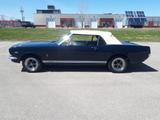 Ford Mustang K-Code Cabrio aus Sammlungsauflösung - Ford Mustang aus 1966 mit Benzin-Antrieb: Cabrio