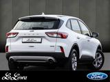 Ford Kuga Plug-In Hybrid Cool & Connect - gebrauchte Ford SUV & Geländewagen