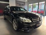 Mercedes-Benz E 250 CDI T BlueEfficiency/Panorama+Kamera - Mercedes-Benz E 250: Cdi T