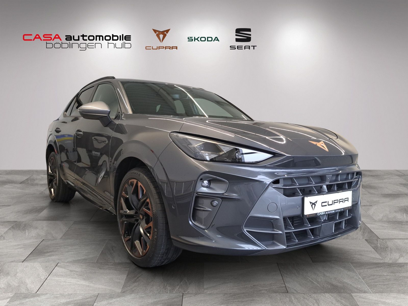 Terramar VZ 2.0 TSI DSG 4Drive HD-Matrix Skyline