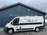 Fiat Ducato Kasten 30 120 Wohnmobil Umbau - Fiat Ducato: Wohnmobil