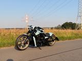Harley-Davidson V-Rod Muscle / Airride / 280/ Custom / Night Rod - HARLEY-DAVIDSON V ROD CUSTOM