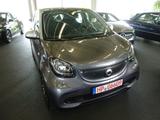 Smart ForFour Passion,Panodach,Klima,Automatik - Smart ForFour in Ludwigshafen