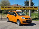 Fiat Panda 1.2 EasyPower GPL - Behindertengerechte Fiat Panda