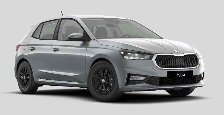 Skoda Fabia 1.0 TSI Black-Style Edition+Kamera+Sitzhei
